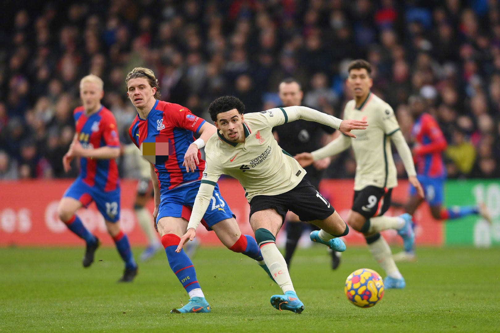 总的来说 总的来说